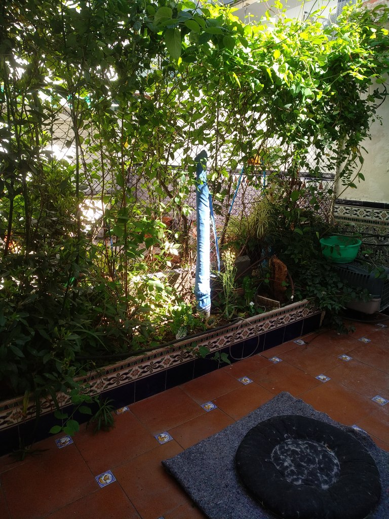 Revistas artistas dibujo pintura artitic.art