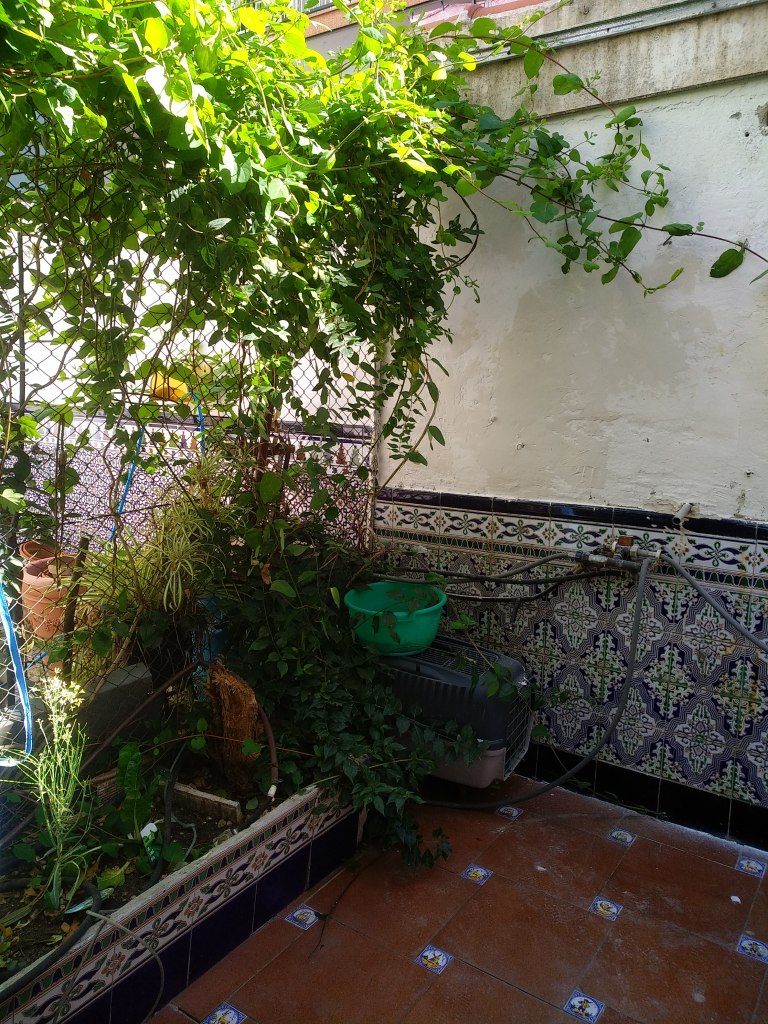 Revistas artistas dibujo pintura artitic.art